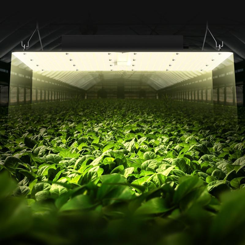LED Grow Light, 400W Full Spec - đánh giá và giá Grow Tent 4X4