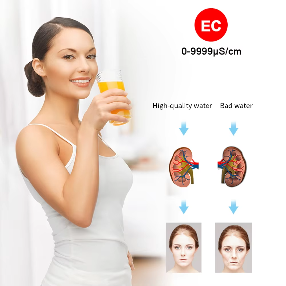 Water Quality Tester Pen-Type  - đánh giá và giá Ec Meter Digital