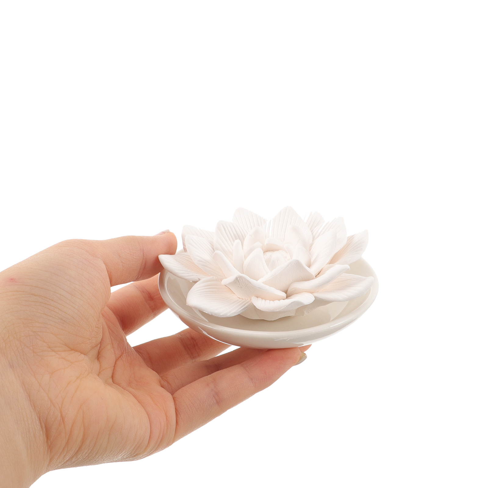 Stone Diffuser Essential Oil P - đánh giá và giá Air Stone Diffuser