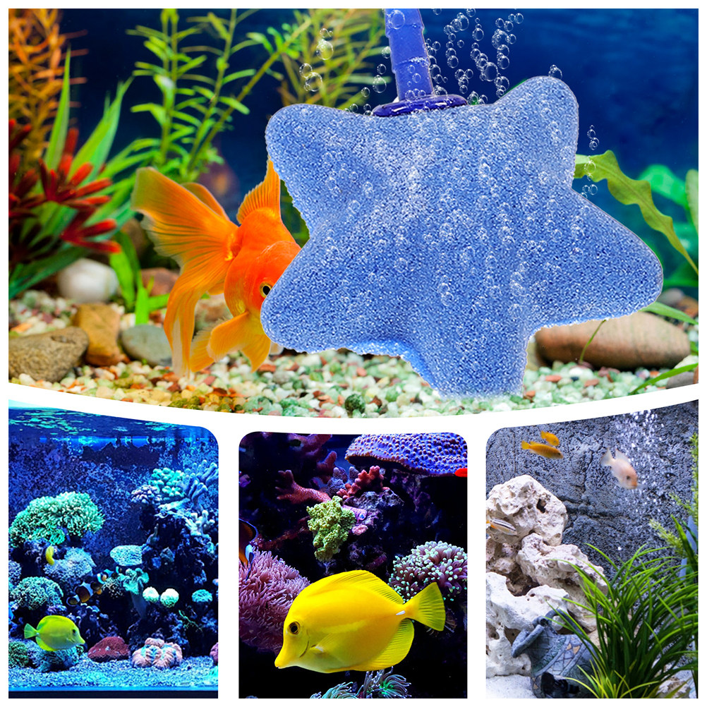 5Pcs Small Air Bubble Stones P - đánh giá và giá Air Stone Diffuser